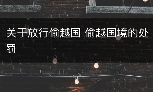 关于放行偷越国 偷越国境的处罚