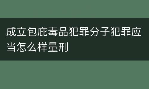 成立包庇毒品犯罪分子犯罪应当怎么样量刑