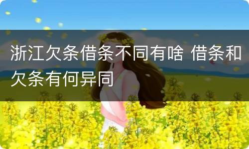 浙江欠条借条不同有啥 借条和欠条有何异同
