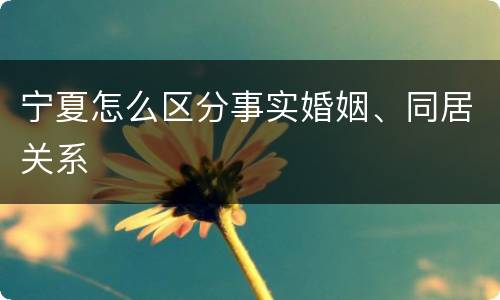 宁夏怎么区分事实婚姻、同居关系