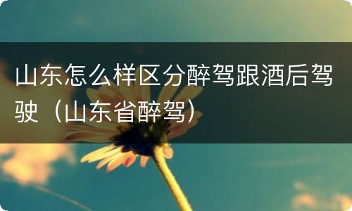 山东怎么样区分醉驾跟酒后驾驶（山东省醉驾）