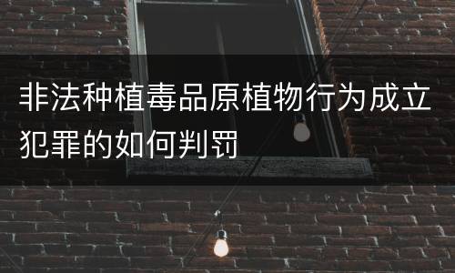 非法种植毒品原植物行为成立犯罪的如何判罚