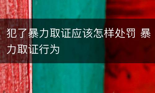 犯了暴力取证应该怎样处罚 暴力取证行为