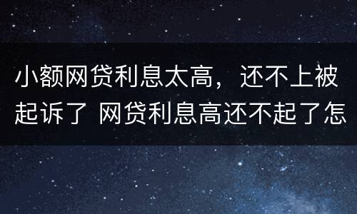 小额网贷利息太高，还不上被起诉了 网贷利息高还不起了怎么办
