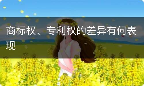 商标权、专利权的差异有何表现