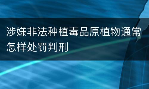 涉嫌非法种植毒品原植物通常怎样处罚判刑