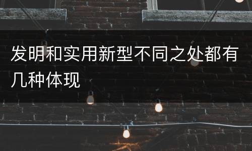 发明和实用新型不同之处都有几种体现