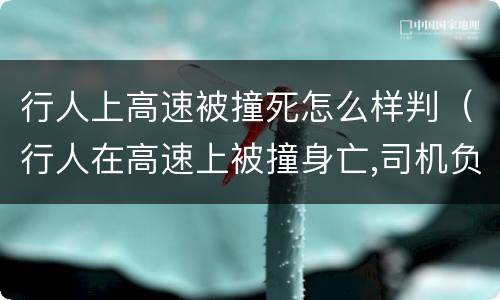 行人上高速被撞死怎么样判（行人在高速上被撞身亡,司机负责吗）