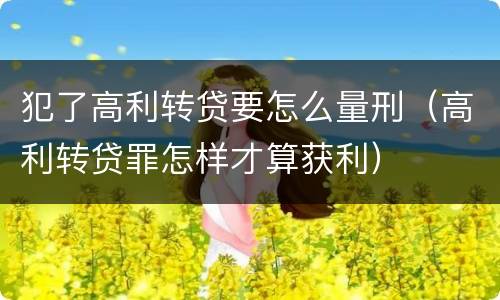 犯了高利转贷要怎么量刑（高利转贷罪怎样才算获利）