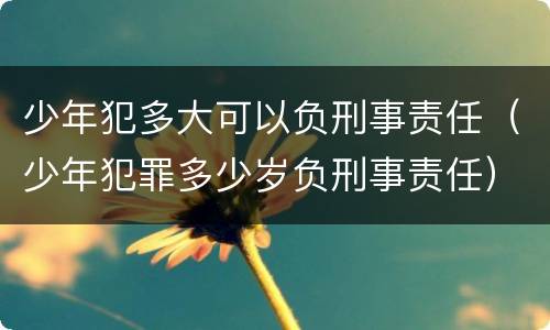 少年犯多大可以负刑事责任（少年犯罪多少岁负刑事责任）