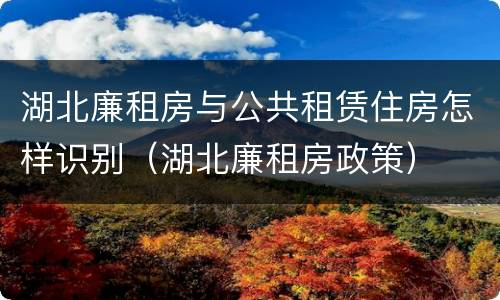 湖北廉租房与公共租赁住房怎样识别（湖北廉租房政策）
