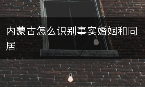 内蒙古怎么识别事实婚姻和同居