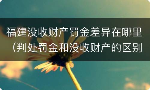 福建没收财产罚金差异在哪里（判处罚金和没收财产的区别）