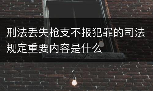 刑法丢失枪支不报犯罪的司法规定重要内容是什么