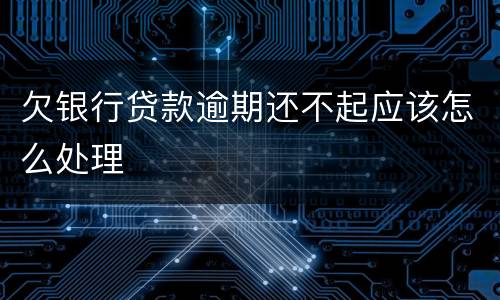 欠银行贷款逾期还不起应该怎么处理