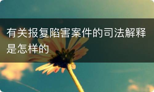 有关报复陷害案件的司法解释是怎样的