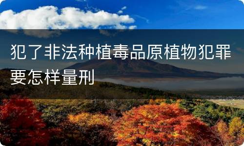 犯了非法种植毒品原植物犯罪要怎样量刑 犯了非法种植毒品原植物犯罪要怎样量刑