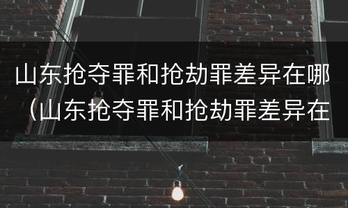 山东抢夺罪和抢劫罪差异在哪（山东抢夺罪和抢劫罪差异在哪里）