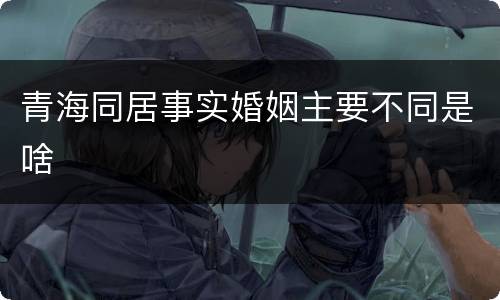 青海同居事实婚姻主要不同是啥
