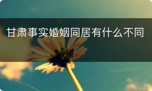甘肃事实婚姻同居有什么不同