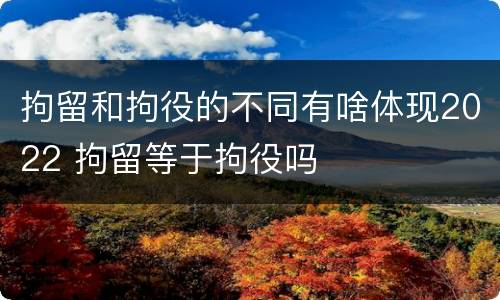 拘留和拘役的不同有啥体现2022 拘留等于拘役吗