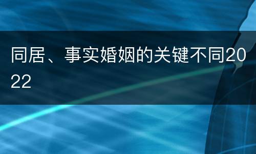 同居、事实婚姻的关键不同2022