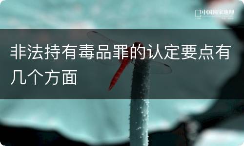 非法持有毒品罪的认定要点有几个方面