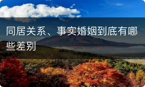 同居关系、事实婚姻到底有哪些差别