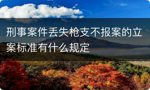 刑事案件丢失枪支不报案的立案标准有什么规定