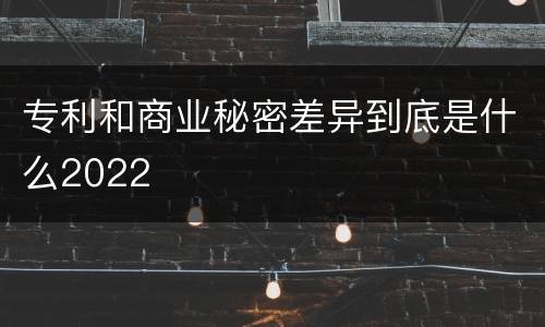 专利和商业秘密差异到底是什么2022