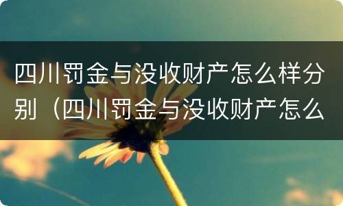 四川罚金与没收财产怎么样分别（四川罚金与没收财产怎么样分别缴纳）