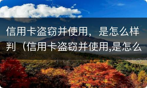 信用卡盗窃并使用，是怎么样判（信用卡盗窃并使用,是怎么样判的）