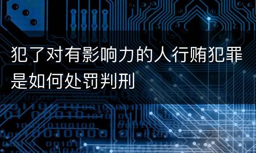 犯了对有影响力的人行贿犯罪是如何处罚判刑