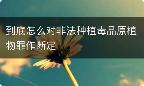 到底怎么对非法种植毒品原植物罪作断定