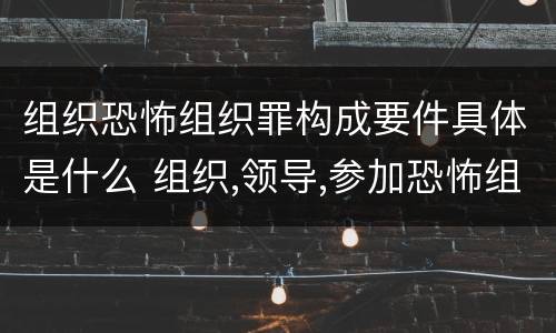 组织恐怖组织罪构成要件具体是什么 组织,领导,参加恐怖组织罪的构成要件