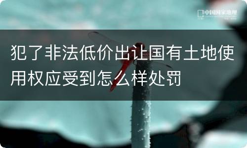 犯了非法低价出让国有土地使用权应受到怎么样处罚