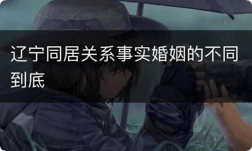 辽宁同居关系事实婚姻的不同到底