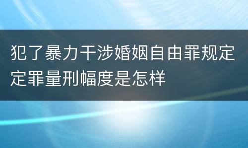 犯了暴力干涉婚姻自由罪规定定罪量刑幅度是怎样