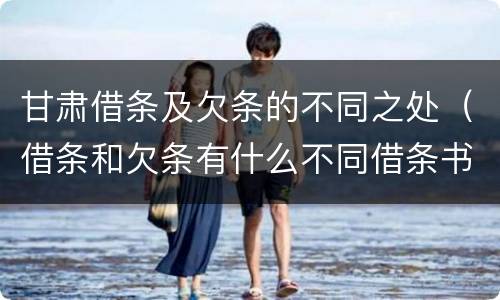 甘肃借条及欠条的不同之处（借条和欠条有什么不同借条书写）