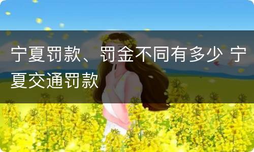 宁夏罚款、罚金不同有多少 宁夏交通罚款