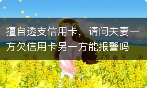 擅自透支信用卡，请问夫妻一方欠信用卡另一方能报警吗