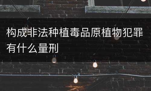 构成非法种植毒品原植物犯罪有什么量刑