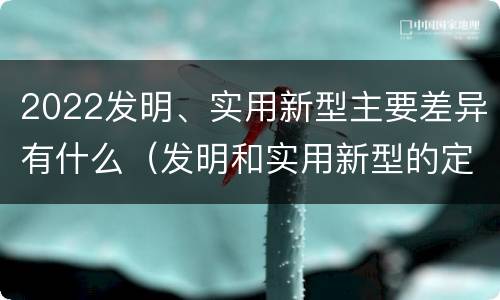 2022发明、实用新型主要差异有什么（发明和实用新型的定义）