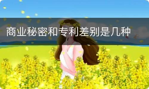 商业秘密和专利差别是几种
