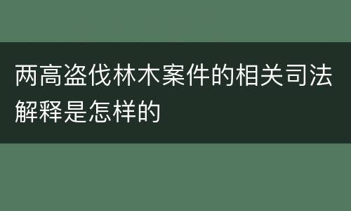 两高盗伐林木案件的相关司法解释是怎样的