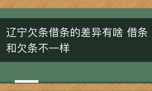 辽宁欠条借条的差异有啥 借条和欠条不一样