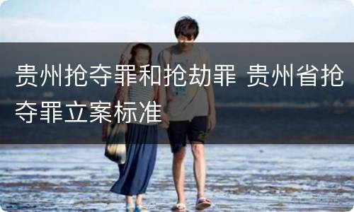 贵州抢夺罪和抢劫罪 贵州省抢夺罪立案标准