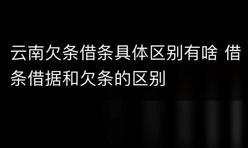 云南欠条借条具体区别有啥 借条借据和欠条的区别