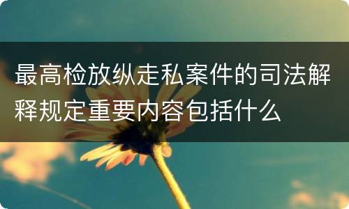 最高检放纵走私案件的司法解释规定重要内容包括什么