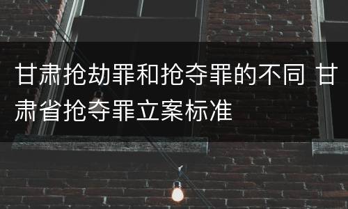 甘肃抢劫罪和抢夺罪的不同 甘肃省抢夺罪立案标准